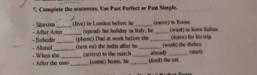 7. Complete the sentences. Use Past Perfect or Past Simple. -