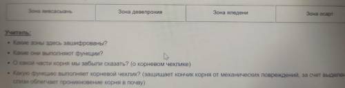 Зона яивсасыань Зона девепрония Зона яледени Зона осарт Учитель: • Какие зоны здесь зашифрованы? • К