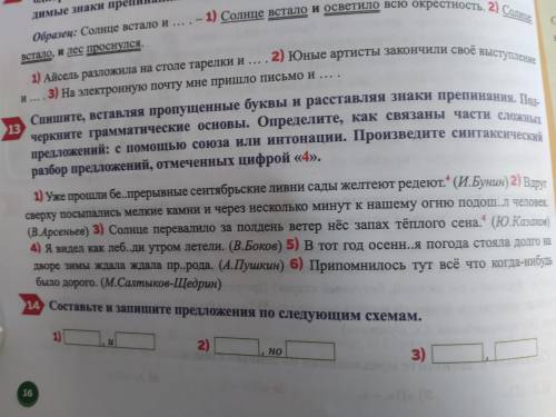 Добрые люди . 13 номер. Поставлю спс и посчитаю лучшим ответом. Для брата надо.