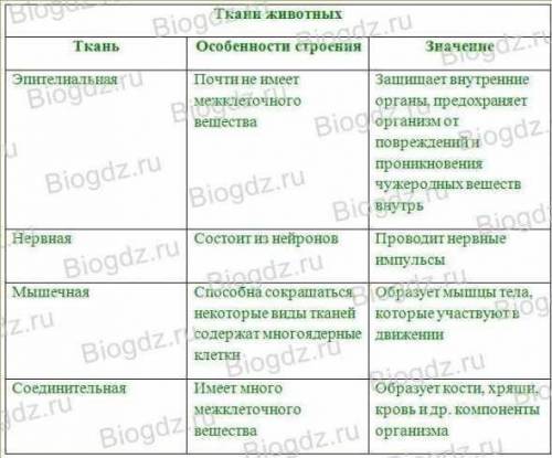 Задание четыре заполните таблицу ткани животных ткань особенности строения значение