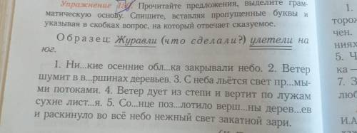 прочитайте предложения выделите граматическую основу . Спишите вставляя пропущенные буквы и указывая