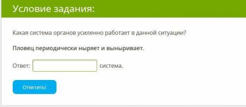 Какая система органов усиленно работает в данной ситуации? Пловец периодически ныряет и выныривает.