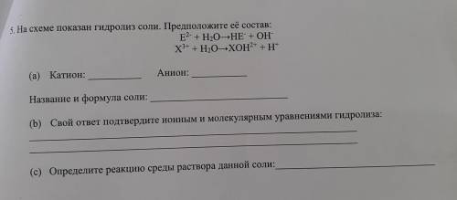 На схеме показан гидролис соли. Предложите её состав