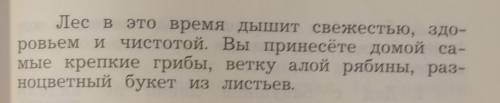 ОБЯЗАТЕЛЬНО СДЕЛАТЬ СИНТАКСИЧЕСКИЙ РАЗБОР