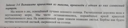 Задание 34 выпишите причастия из текста приведи с одним из них словесный портрет