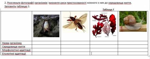 Перевод: Рассмотрите фотографии организмов и определите черты при каждого из них к среде жизни. 1.Н