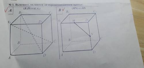 Выясните, являются ли скрещивающимися прямые: