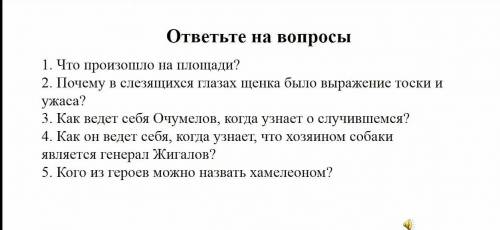 ответьте на вопросы 1. Что произошло на площади?2. Почему в слезящихся глазах щенка было выражение т