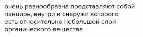 КАК ФОРМА ДИАТОМОВОЙ ВОДОРОСЛИ И АЦЕТАБУЛЯРИИ СВЯЗАНА С ЕЕ ФУНКЦИЯМИ