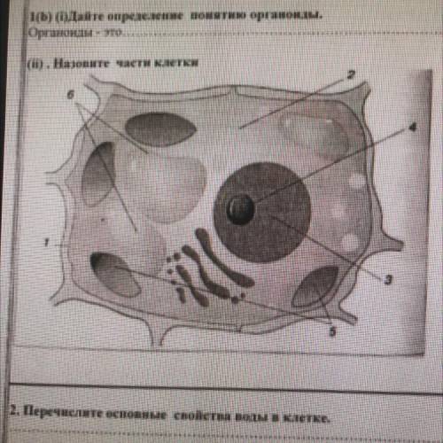 Назовите части клетки 2. Перечислите основные свойства воды в клетке