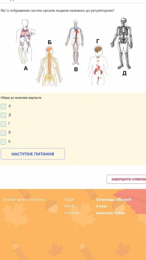 Регуляторна система людини