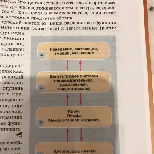 Прочитайте текст параграфа , изучите рисунок 15 и составьте рассказ по схеме , раскрывающей механизм