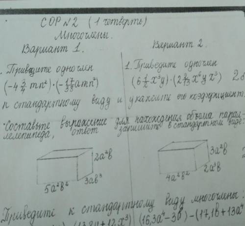 Приведите одночлен. только 1 вариант