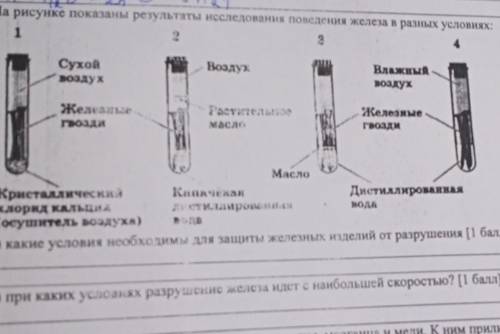 На рисунке показаны результаты исследований поведения железа в разных условиях Сор