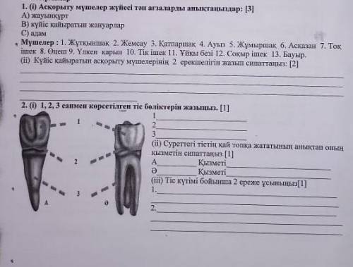 1. (1) Асқорыту мүшелер жүйесі тән ағзаларды анықтаңЫ. А) жауынқұрт В) күйіс қайыратын жануарлар C)