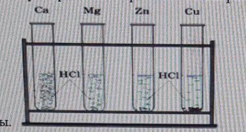 В четыре одинаковые пробирки налили равные объёмы раствора соляной кислоты и поместили в них разные