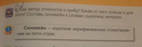 6. Как автор относится к грибу? Какая от него польза и для кого? Составь синквейн К словам: сыроежка