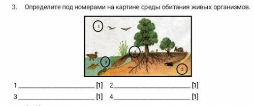 3. Определите под номерами на картине среды обитания живых организмов.