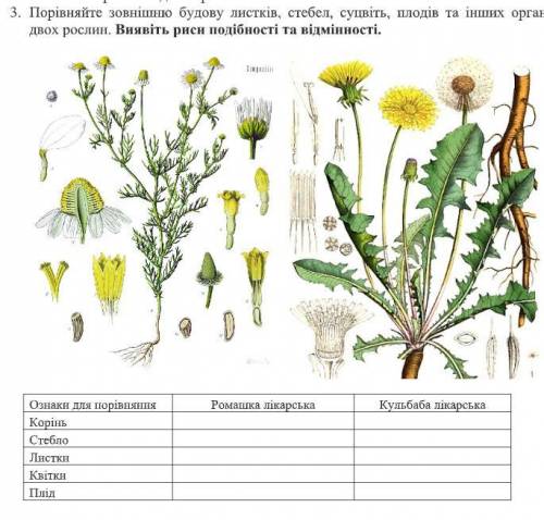 іть будь ласка там ів за це