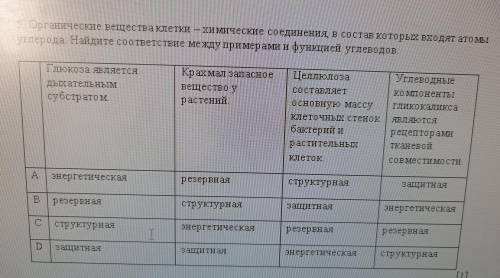 5. Органические вещества клетки химические соединения в состав которых входят ато EI углерода. Найди