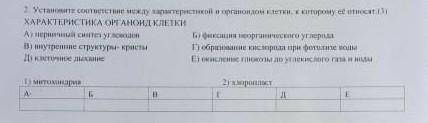 установите соответствие между характеристикой и органоидом клетки к которому её относят характеристи