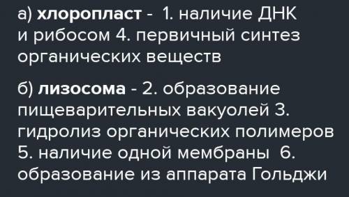 установите соответствие между характеристикой и органоидом клетки к которому её относят характеристи