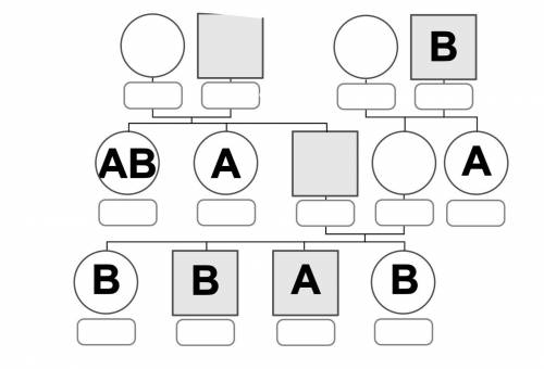 Завершите возможный путь наследования групп крови, используя комбинаторику. Нарисуйте на картинке ге