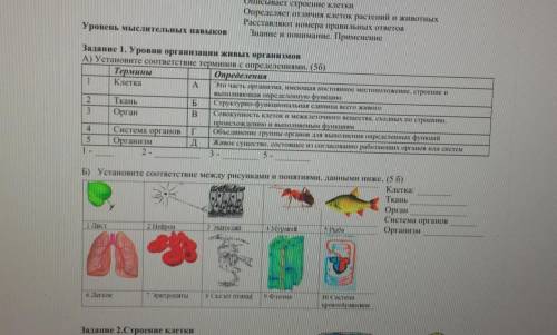 ОТВЕТЬТЕЖЕЛАТЕЛЬНО В ТЕЧЕНИЕ ДНЯ