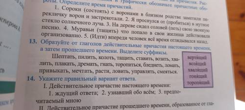 Образуйте от глаголов действительные причастия настоящего времени ,а затем времени .Выделите суффикс