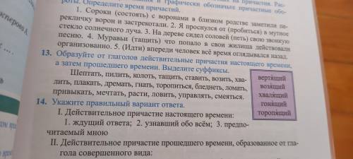 Образуйте от глаголов действительные причастия настоящего времени ,а затем времени .Выделите суффикс