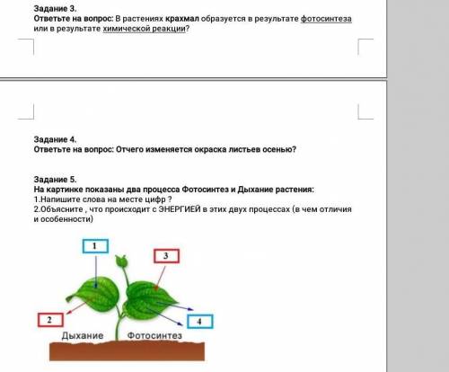 3 и 5 вопрос если будет правильно все то потом ещё как нибудь