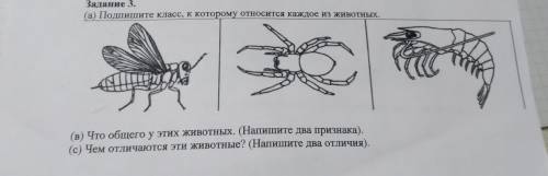 (а)Подпишите класс, к которому относится каждый из животных. (в)Что общего у этих животных? (с)Чем о