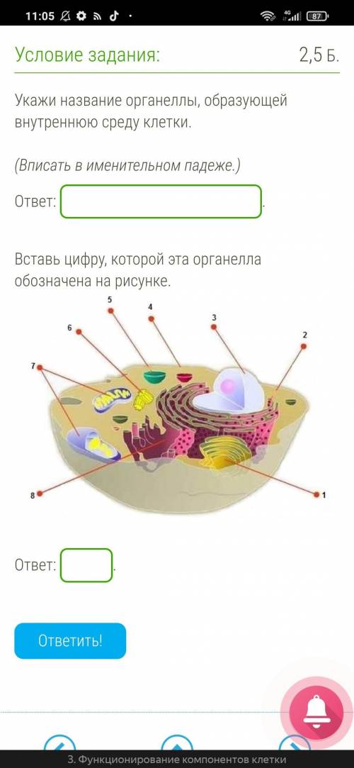 ЗА ДВА ЗАДАНИЯ, ЭТО НЕ ЦИТОПЛАЗМА (НА СЕКСЕ НЕТУ ЕЁ)