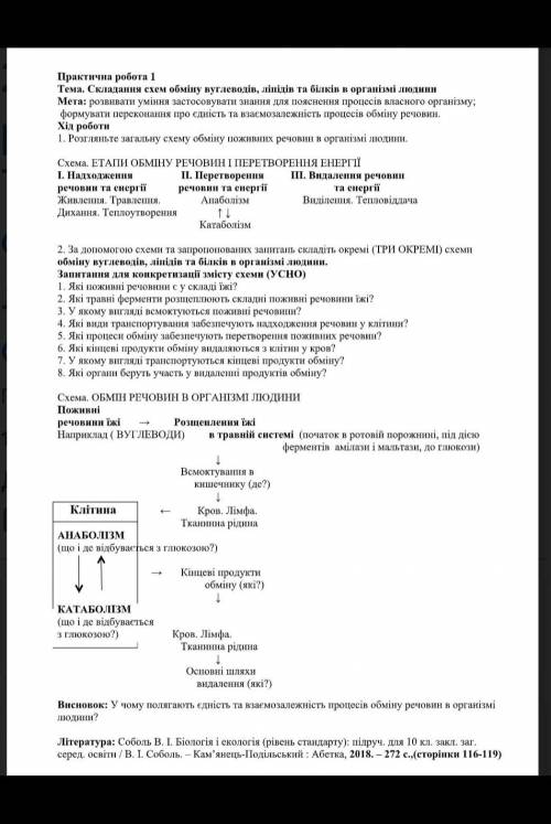 Биология Скласти схему обміну вуглеводів, ліпідів та білків в організмі людини