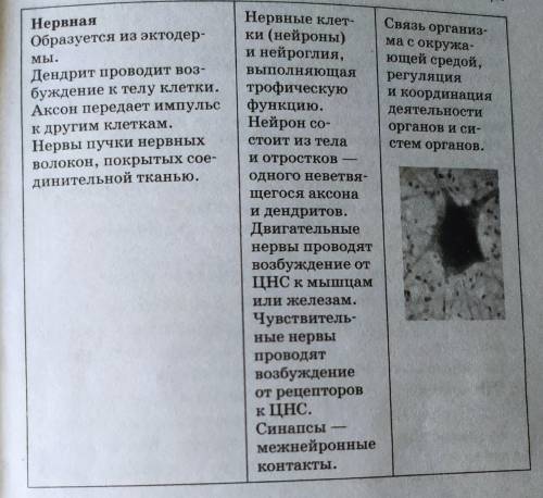 Таблица «Ткани» Описать особенности тканей в виде таблицы. Колонки таблицы: 1. Название Ткани 2. Стр