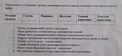 Определите По описанию органы пищеварительного канала человека и поставьте нужную цифру