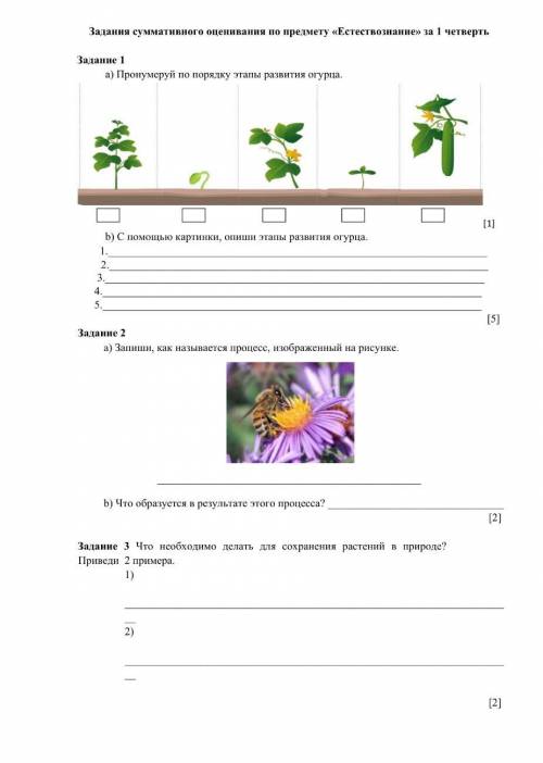 Нужна СОЧ по естествознанию 1 четверть 4 класс