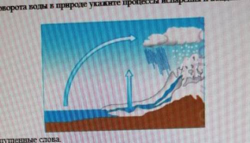 ДАЮ 50на схеме круговорот воды в природе укажите процесс испорения и конденсации