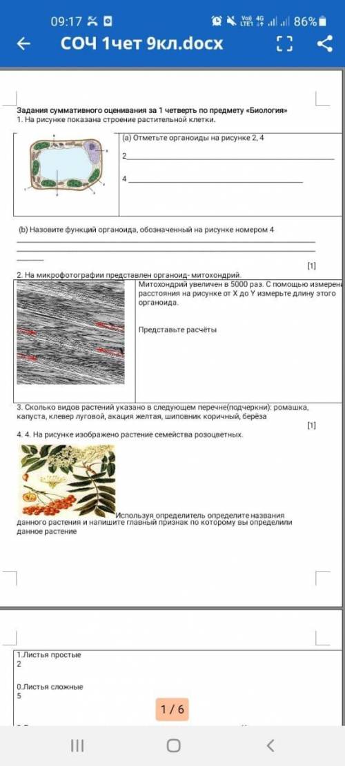 Соч 9 класс Биология. Измененный