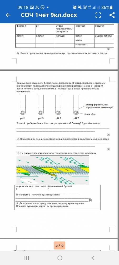 Соч 9 класс Биология. Измененный