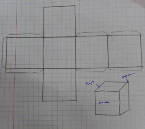 Начерти на клетчатой бумаге развёртку куба с ребром 4 см. Закрась одним цветным карандашом противопо
