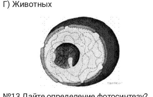 . для каких организмов данный органоид не характерен? а) грибов. б) бактерий. в) растений. г) животн