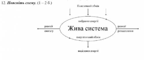 Поясніть схему.(на украинском не с интернета,поєтапно)