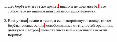 Здравствуйте с объяснением, почему запятая тут? Красным отмечено