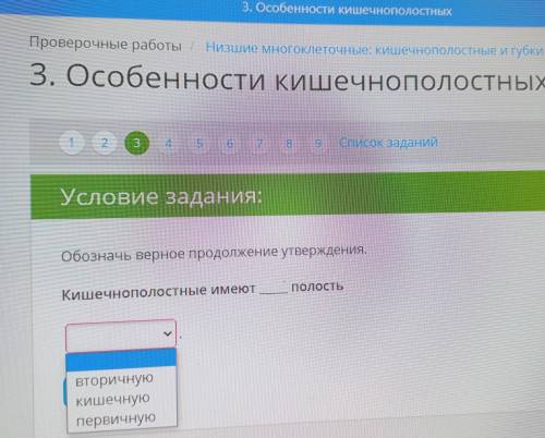 работы Низшие многоклеточные кишечнополостиные и губки 3. Особенности кишечнополостных 2 4 5 6 28. 9