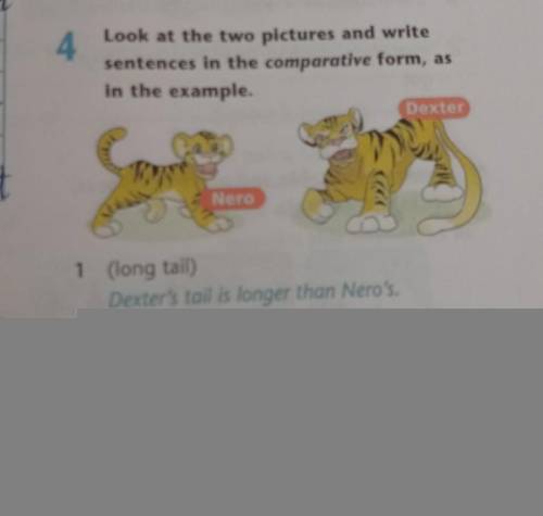 Look at the two pictures and write sentences in the comparative form, as in the example. 1 (long tai