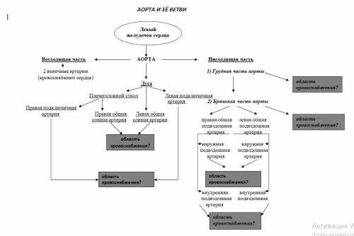 АНАТОМИЯ заполните квадратики область кровоснабжения