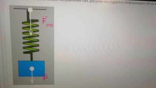 Если тело некоторой массы подвесить к пружин, то в результате из взаимодействия пружина деформируетс
