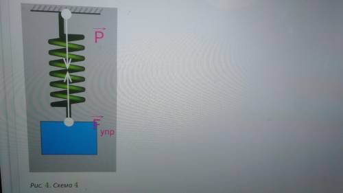 Если тело некоторой массы подвесить к пружин, то в результате из взаимодействия пружина деформируетс