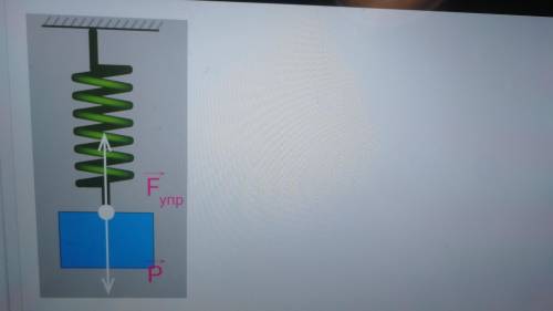 Если тело некоторой массы подвесить к пружин, то в результате из взаимодействия пружина деформируетс